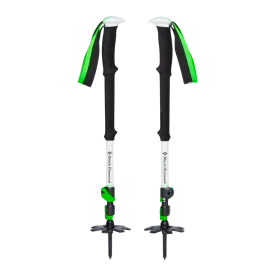 Expedition 3 Ski Poles